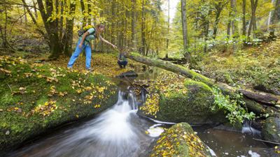 Burgensteigrunde Altenthann