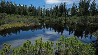 Rundweg Wolf – Vom Hochschachten ins Latschenfilz