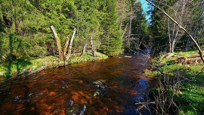 Rundweg Rüsselkäfer – An der Flanitz entlang rund um Althütte
