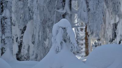 Schneeschuhtour auf den Großen Falkenstein
