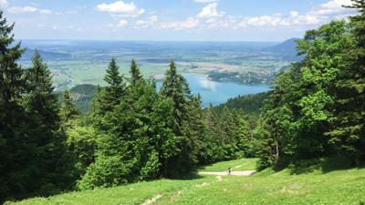 Stadt- und Waldrunde