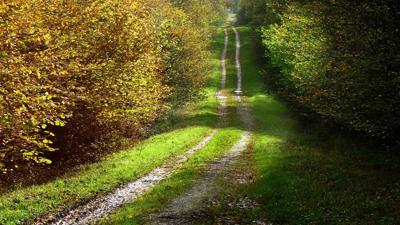 Lanzenbachweg