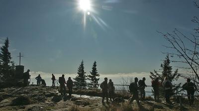 Wanderlinie Esche (Nationalparkzentrum Falkenstein – Großer Falkenstein)