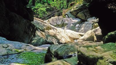 Wanderlinie Echtes Springkraut (Grafenau – Spiegelau)