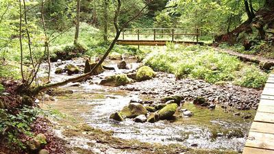 Bäche, Schluchten, Moore – Westallgäuer Wasserweg 9 – Einstieg Oberreute