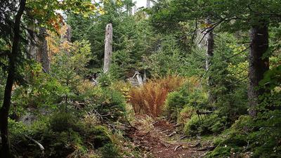 Von der Fredenbrücke zur Racheldiensthütte