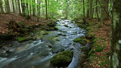 Radtour zum Felswandergebiet