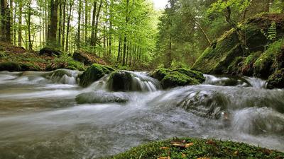 Am Bergbach entlang zum Tummelplatz