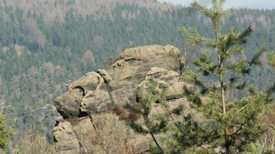 Steinzoo im Zittauer Gebirge: Rund um die Fuchskanzel