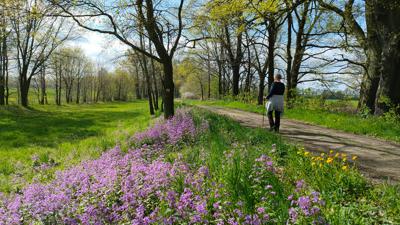 Oberlausitzer Ringweg (Abschnitt Oberlausitzer Heide- und Teichlandschaft)