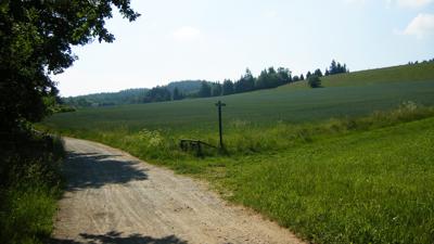 Südlicher Wilthener Rundwanderweg