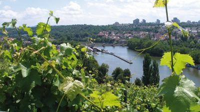 Weinwanderweg Bad Cannstatt: Vom Max-Eyth-See nach Mühlhausen