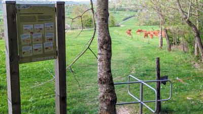 Das Mössinger Leisawegle – ein aussichtsreicher Premiumspazierwanderweg