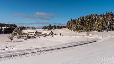 Winter – Herrischried: Skating-Loipe