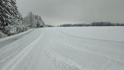 Frittlinger Skating-Runde