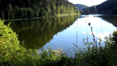 Dachsberg 30: Von der Teufelsküche über den Albsteig