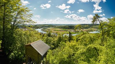 Waldshut-Tiengen: “Stadt.Wald.Fluss.”-Tour: Entschleunigen – Abkürzung Süd