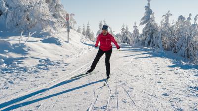 Seebach – Verbindung Ruhestein – Darmstädter Hütte