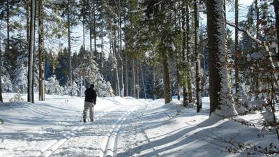 Winter – Herrischried: Ödland-Loipe