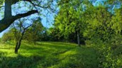 Kulturwanderweg Jagst – 5. Etappe Schöntal-Westernhausen bis Krautheim