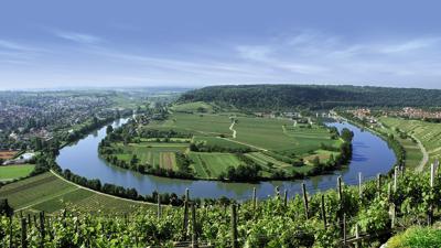 Wein- und Obstwanderweg (Tour 2): Käsberg Höhenweg