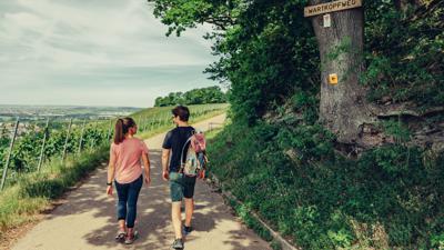 MB5 Wein-Lese-Weg | Rundwanderweg Beilstein