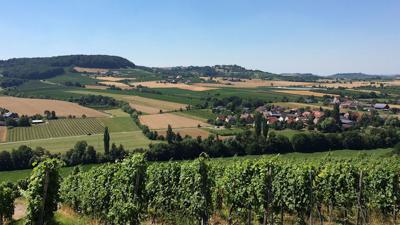 Trimm Dich Pfad Wald (Große Runde)