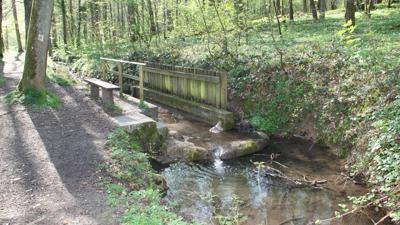 Zum Blinden See