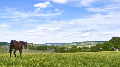 Eichstetten – Geopfad