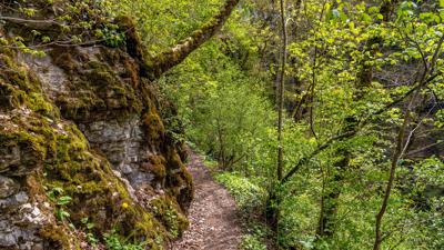 Schluchtensteig Etappe 1 von Stühlingen nach Blumberg
