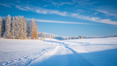 Winter – Herrischried: Bühl-Loipe