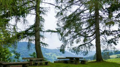Biketour 4: Zell im Wiesental-Hausen-Gresgen-Blauener Ebene-Zell im Wiesental