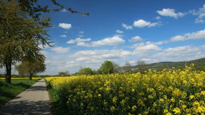 Rundtour Nußloch