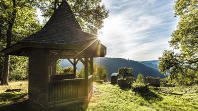 Neckarsteig: Etappe Eberbach – Neunkirchen