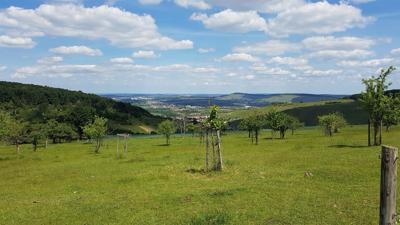 Aussichtswanderung rund um Lobenrot (RW 14)