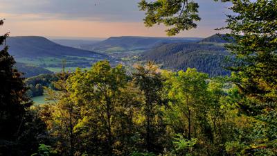 Wacholderbuschweg in Burladingen