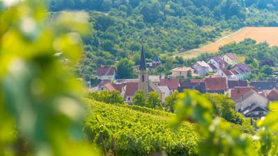 Wein-Radreise 4. Etappe: Gesundheit und Wein