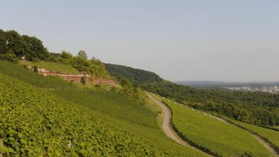Uhldinger Pfahlbau Halbmarathon