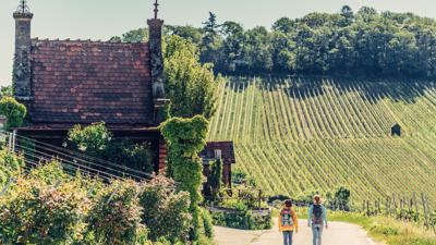 Endingen – Selbstentdeckungstour: Individueller Stadtrundgang