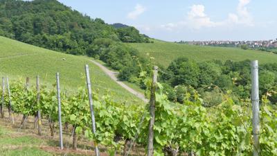 Übers Tiefental nach Aftholderberg