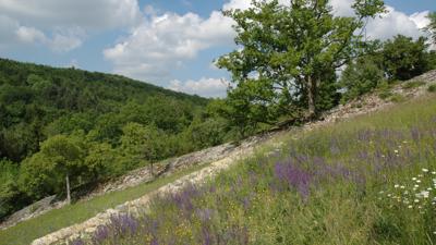 KJ6 Von der Hohen Straße bis zum Essigberg