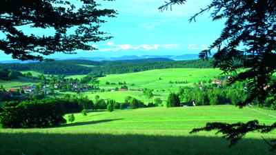 Leben mit Wasser in Calw