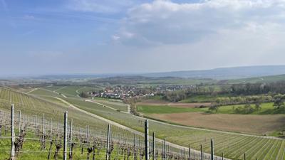 Haberschlachter Rundwanderwegen – Dachsbergweg