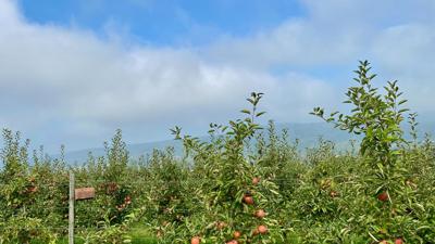 Bodmaner Obstwanderweg