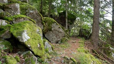 Albsteig Schwarzwald: Rückführung von St. Blasien über den Wolfssteig nach Albbruck