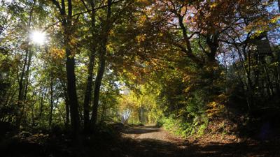 Hotzenwald: Die große Rundtour