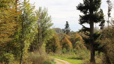 11 – Rund um Ramschel
