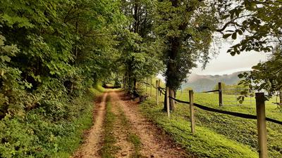 Von Pfrungen zu Moorseen im Ried