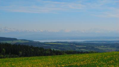 Hansi-Hase Tour, Biederbach