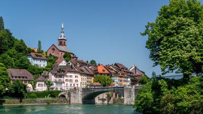 Auf die Räder, fertig. Urlaub! Die Bodensee-Radstory BERGAUF UND BERGAB MIT GRAUREIHERN UND TROMPETENBÄUMEN
